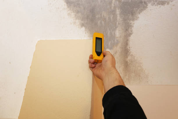Best Post-Construction Mold Inspection  in Trabuco Nyon, CA