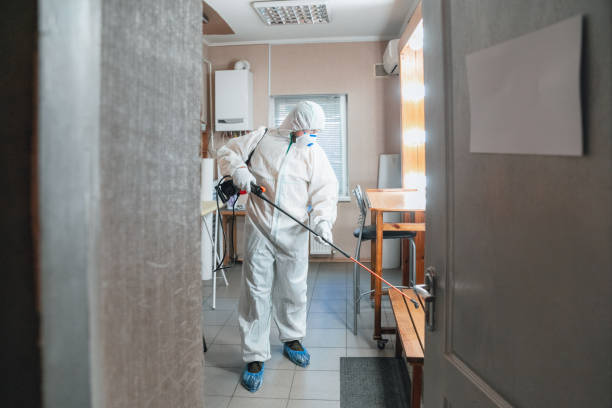Trabuco Canyon, CA Mold Removal Company