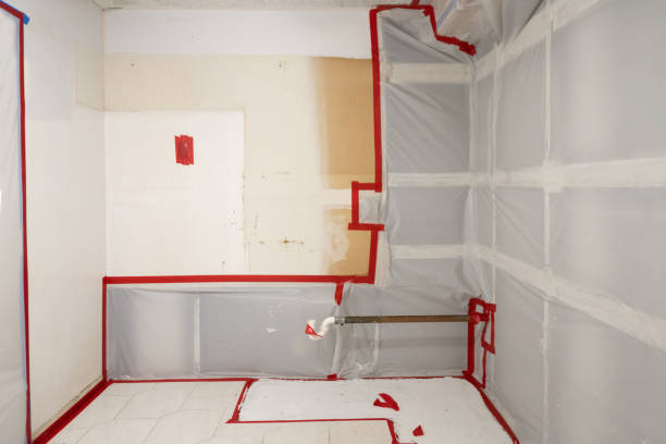 Best Comprehensive Air Testing for Mold Contaminants  in Trabuco Nyon, CA