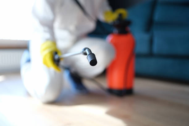 Best Biohazard Mold Removal  in Trabuco Nyon, CA