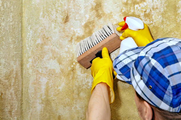 Best Real Estate Mold Inspection  in Trabuco Nyon, CA