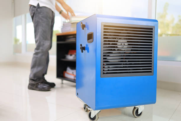 Best Mold Damage Restoration  in Trabuco Nyon, CA