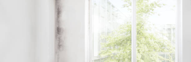 Best Indoor Air Quality Assessment  in Trabuco Nyon, CA