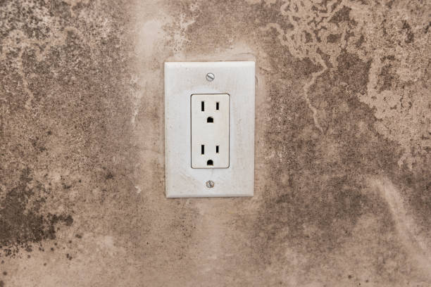 Best Mold Prevention Services  in Trabuco Nyon, CA