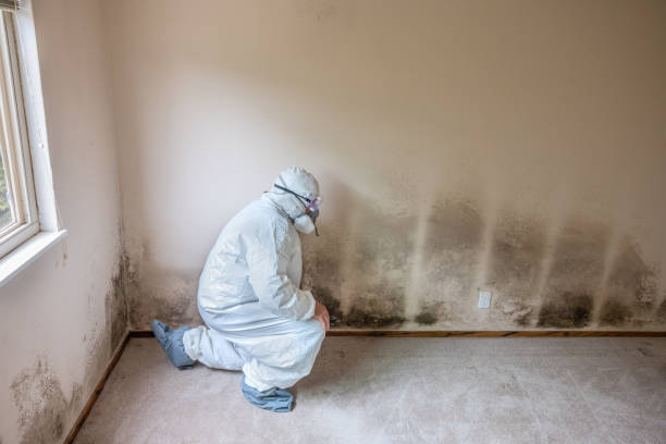 Best Air Quality Testing for Mold Spores  in Trabuco Nyon, CA