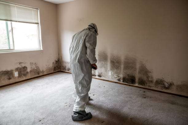 Forensic Mold Investigation in Trabuco Canyon, CA
